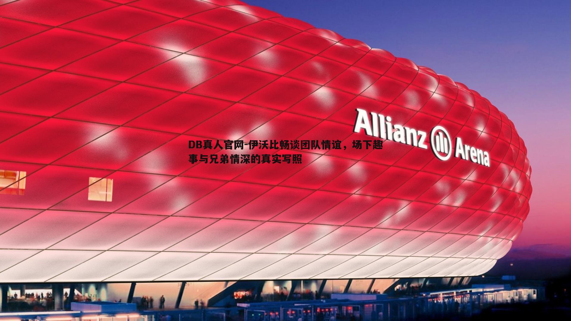 伊沃比畅谈团队情谊，场下趣事与兄弟情深的真实写照