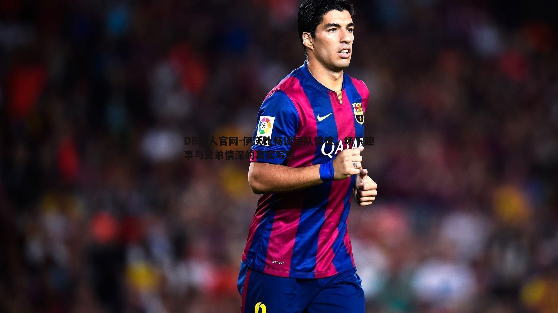 伊沃比畅谈团队情谊，场下趣事与兄弟情深的真实写照